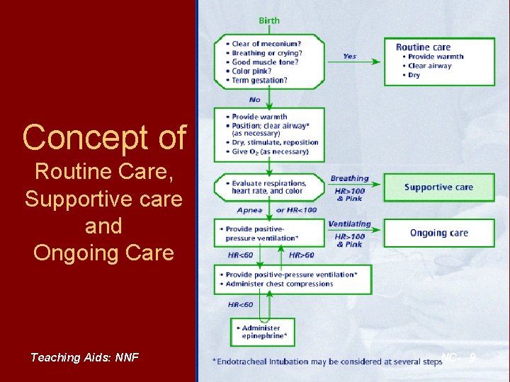 Concept of Routine Care, Supportive care and Ongoing Care Teaching Aids: NNF NC- 9