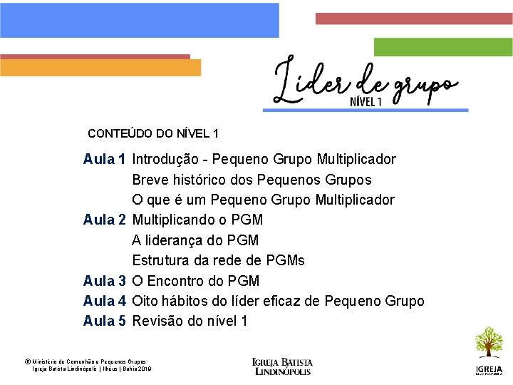 CONTEÚDO DO NÍVEL 1 Aula 1 Introdução - Pequeno Grupo Multiplicador Breve histórico dos