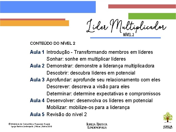 CONTEÚDO DO NÍVEL 2 Aula 1 Introdução - Transformando membros em líderes Sonhar: sonhe