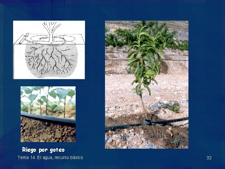 Riego por goteo Tema 14. El agua, recurso básico 32 