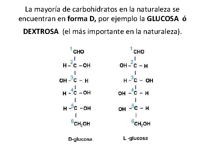 La mayoría de carbohidratos en la naturaleza se encuentran en forma D, por ejemplo