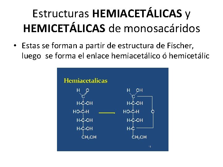 Estructuras HEMIACETÁLICAS y HEMICETÁLICAS de monosacáridos • Estas se forman a partir de estructura