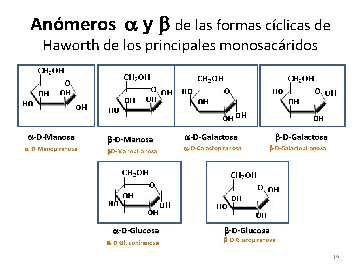Anómeros y de las formas cíclicas de Haworth de los principales monosacáridos -D-Manosa -D-Manopiranosa