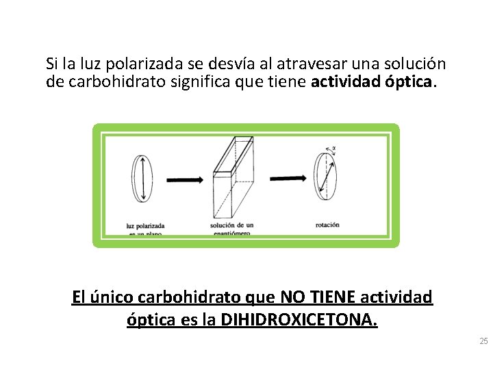 Si la luz polarizada se desvía al atravesar una solución de carbohidrato significa que