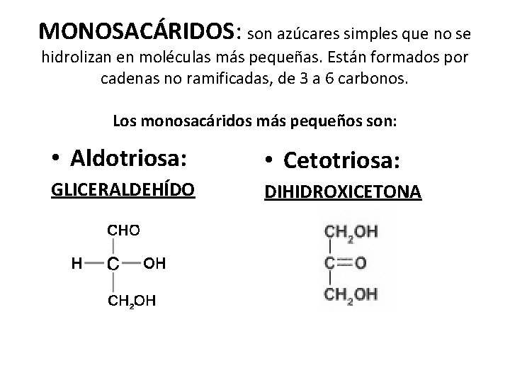 MONOSACÁRIDOS: son azúcares simples que no se hidrolizan en moléculas más pequeñas. Están formados