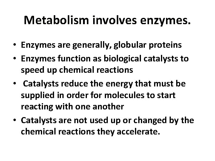 Metabolism involves enzymes. • Enzymes are generally, globular proteins • Enzymes function as biological