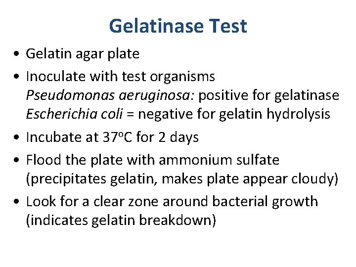 Gelatinase Test • Gelatin agar plate • Inoculate with test organisms Pseudomonas aeruginosa: positive