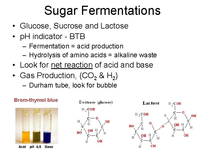Sugar Fermentations • Glucose, Sucrose and Lactose • p. H indicator - BTB –