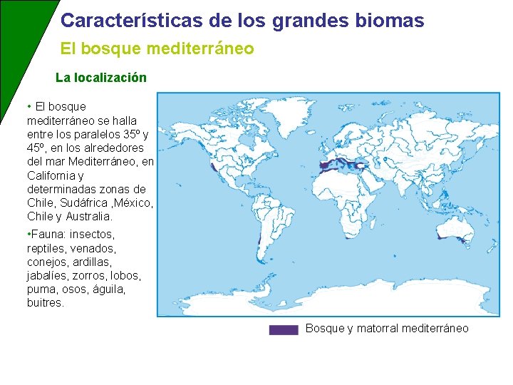 Características de los grandes biomas El bosque mediterráneo La localización • El bosque mediterráneo