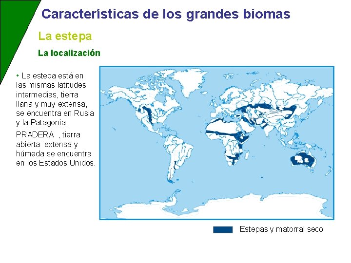 Características de los grandes biomas La estepa La localización • La estepa está en