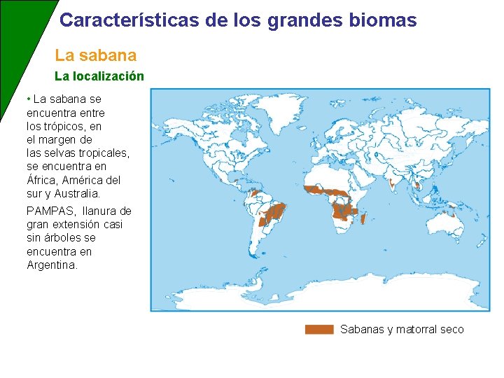 Características de los grandes biomas La sabana La localización • La sabana se encuentra