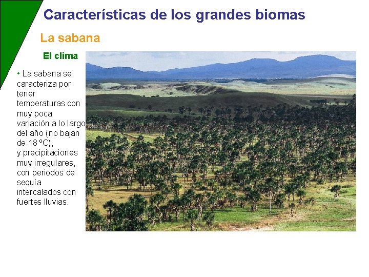 Características de los grandes biomas La sabana El clima • La sabana se caracteriza