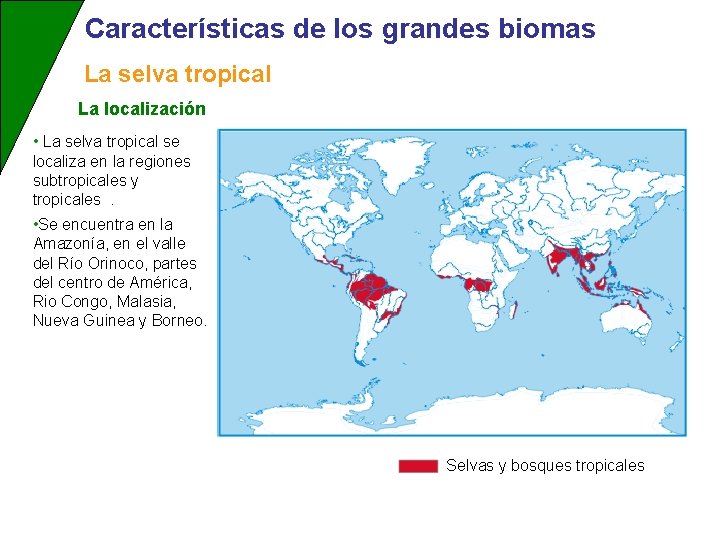 Características de los grandes biomas La selva tropical La localización • La selva tropical