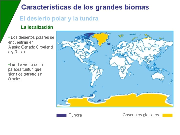 Características de los grandes biomas El desierto polar y la tundra La localización •