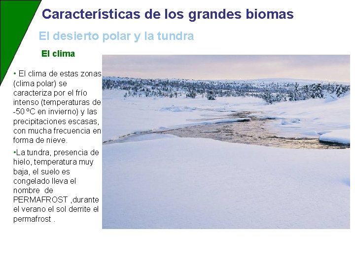 Características de los grandes biomas El desierto polar y la tundra El clima •