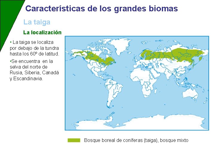 Características de los grandes biomas La taiga La localización • La taiga se localiza