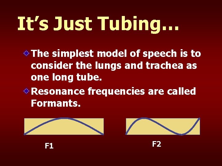 It’s Just Tubing… The simplest model of speech is to consider the lungs and