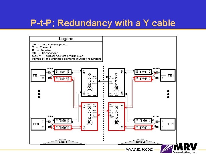 P-t-P; Redundancy with a Y cable www. mrv. com 