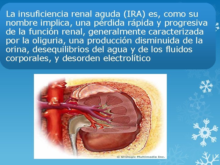 La insuficiencia renal aguda (IRA) es, como su nombre implica, una pérdida rápida y