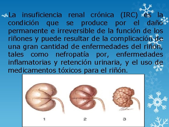  La insuficiencia renal crónica (IRC) es la condición que se produce por el