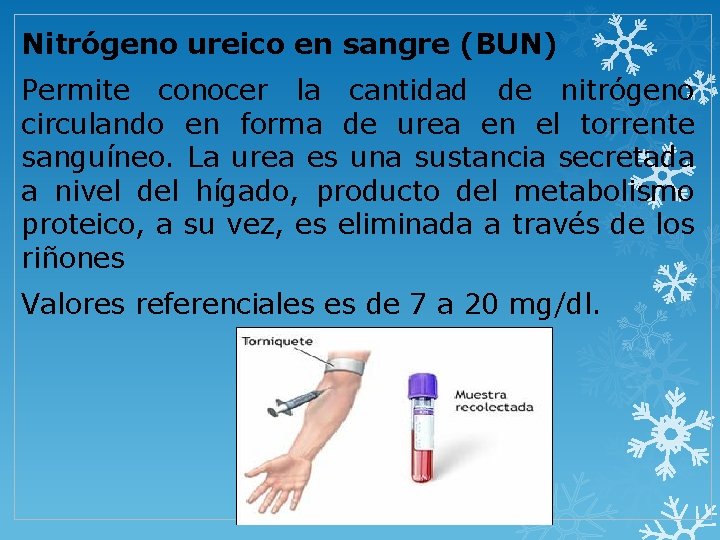 Nitrógeno ureico en sangre (BUN) Permite conocer la cantidad de nitrógeno circulando en forma