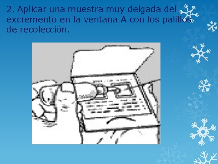 2. Aplicar una muestra muy delgada del excremento en la ventana A con los