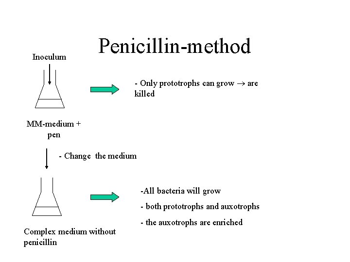 Inoculum Penicillin-method - Only prototrophs can grow are killed MM-medium + pen - Change