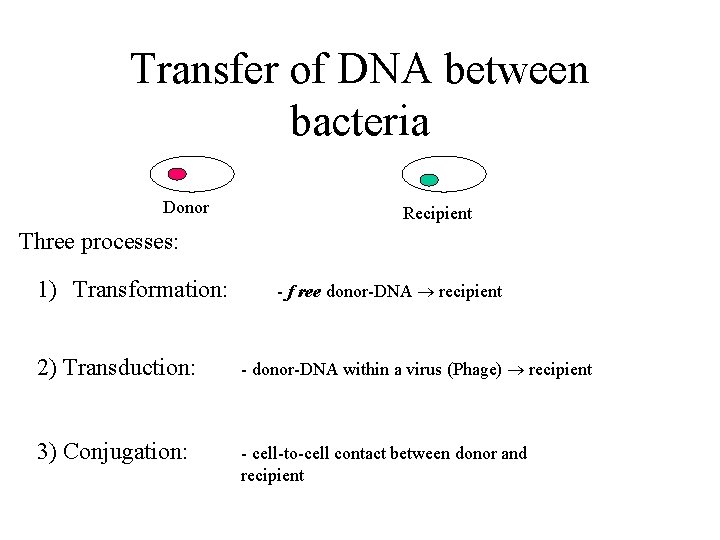 Transfer of DNA between bacteria Donor Recipient Three processes: 1) Transformation: - f ree