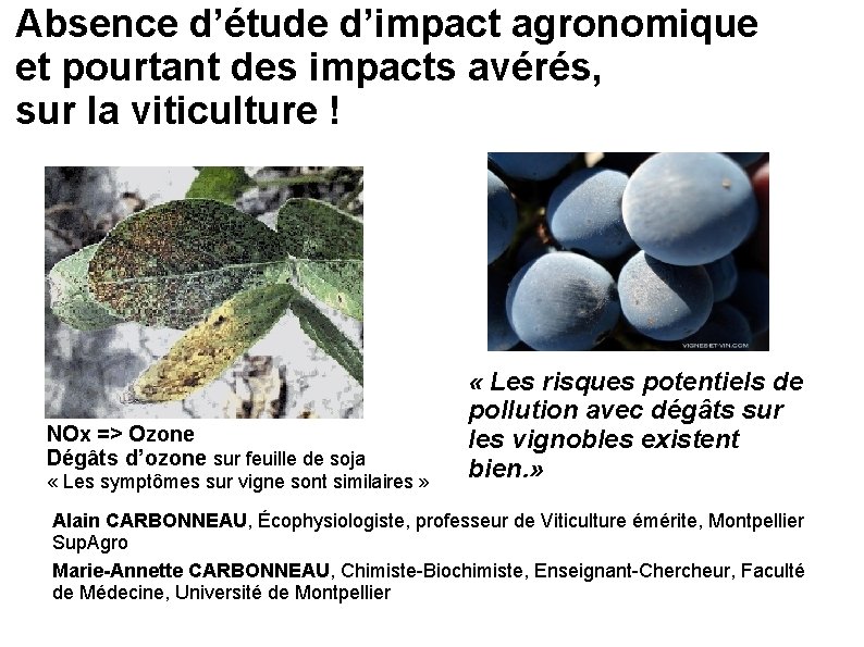 Absence d’étude d’impact agronomique et pourtant des impacts avérés, sur la viticulture ! NOx