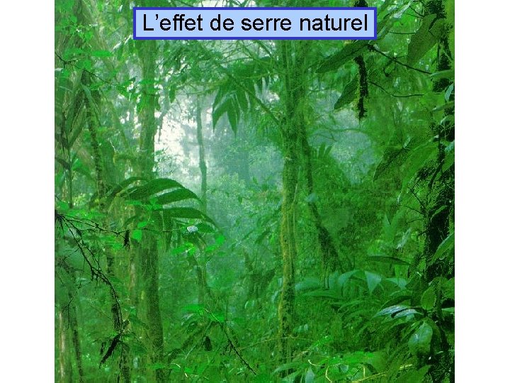 L’effet de serre naturel 
