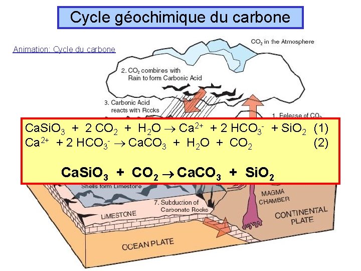 Cycle géochimique du carbone Animation: Cycle du carbone Ca. Si. O 3 + 2