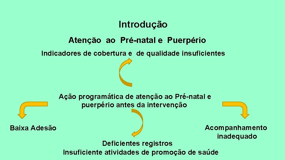 Introdução Atenção ao Pré-natal e Puerpério Indicadores de cobertura e de qualidade insuficientes Ação