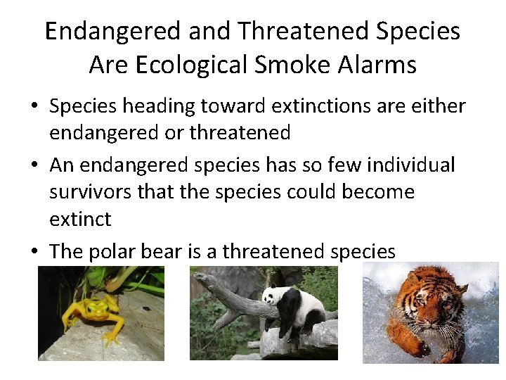 Endangered and Threatened Species Are Ecological Smoke Alarms • Species heading toward extinctions are