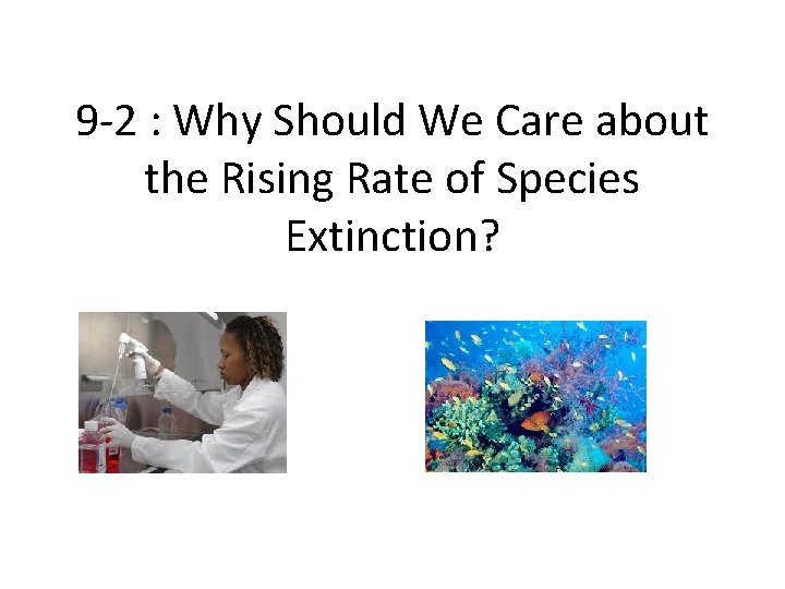 9 -2 : Why Should We Care about the Rising Rate of Species Extinction?