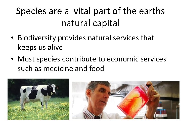 Species are a vital part of the earths natural capital • Biodiversity provides natural