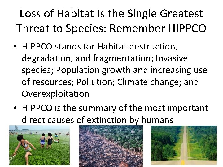 Loss of Habitat Is the Single Greatest Threat to Species: Remember HIPPCO • HIPPCO