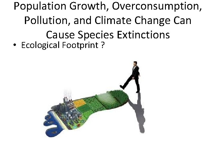 Population Growth, Overconsumption, Pollution, and Climate Change Can Cause Species Extinctions • Ecological Footprint