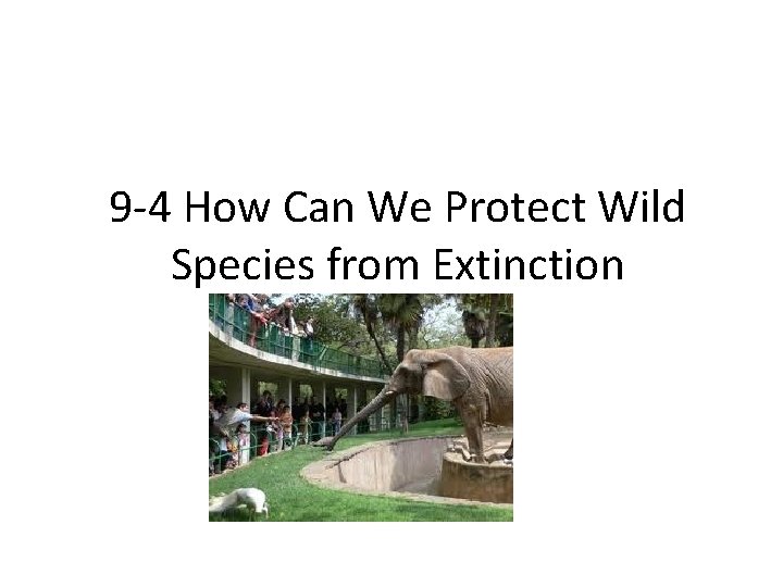9 -4 How Can We Protect Wild Species from Extinction 