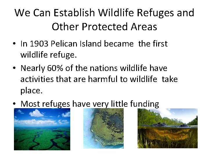 We Can Establish Wildlife Refuges and Other Protected Areas • In 1903 Pelican Island