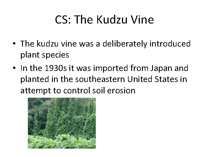 CS: The Kudzu Vine • The kudzu vine was a deliberately introduced plant species