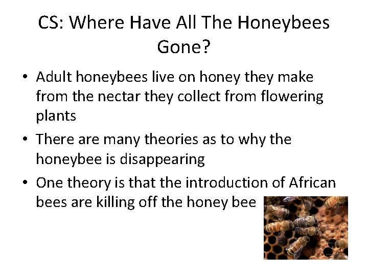 CS: Where Have All The Honeybees Gone? • Adult honeybees live on honey they
