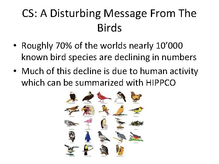 CS: A Disturbing Message From The Birds • Roughly 70% of the worlds nearly