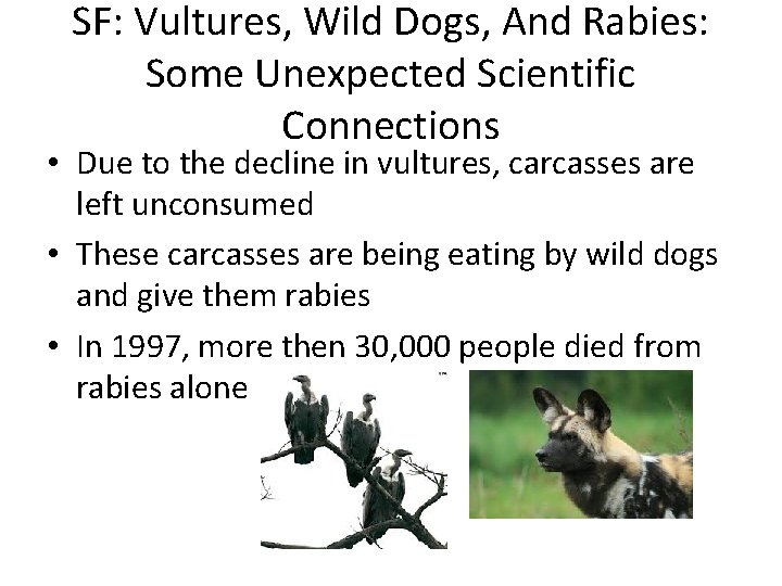 SF: Vultures, Wild Dogs, And Rabies: Some Unexpected Scientific Connections • Due to the