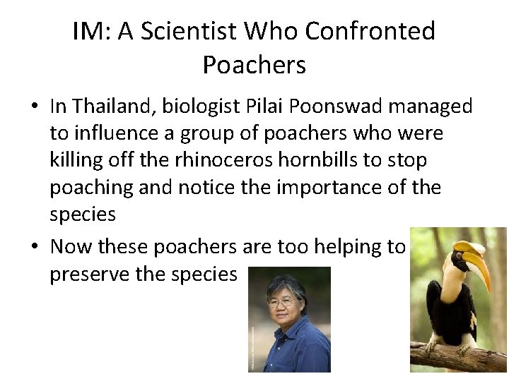 IM: A Scientist Who Confronted Poachers • In Thailand, biologist Pilai Poonswad managed to