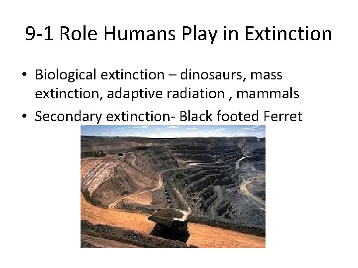 9 -1 Role Humans Play in Extinction • Biological extinction – dinosaurs, mass extinction,