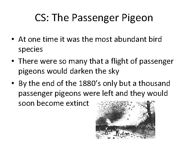 CS: The Passenger Pigeon • At one time it was the most abundant bird
