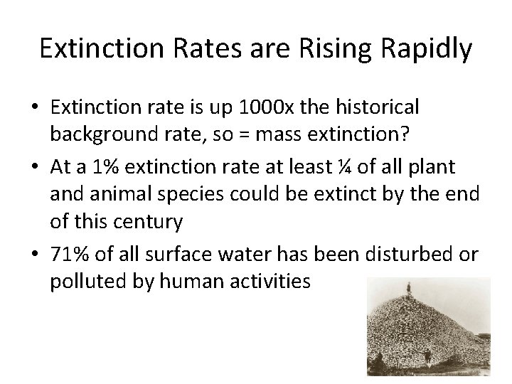 Extinction Rates are Rising Rapidly • Extinction rate is up 1000 x the historical