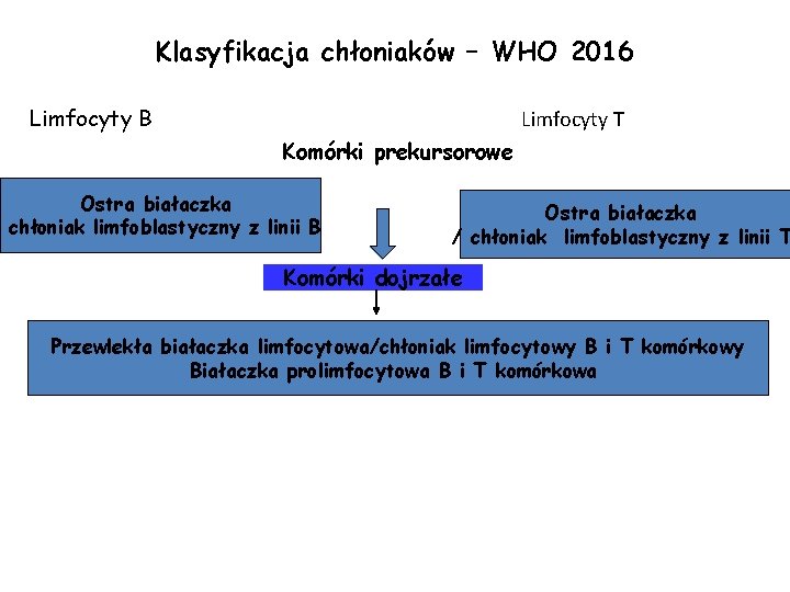 Klasyfikacja chłoniaków – WHO 2016 Limfocyty B Limfocyty T Komórki prekursorowe Ostra białaczka / Klasyfikacja chłoniaków – WHO 2016 Limfocyty B Limfocyty T Komórki prekursorowe Ostra białaczka /