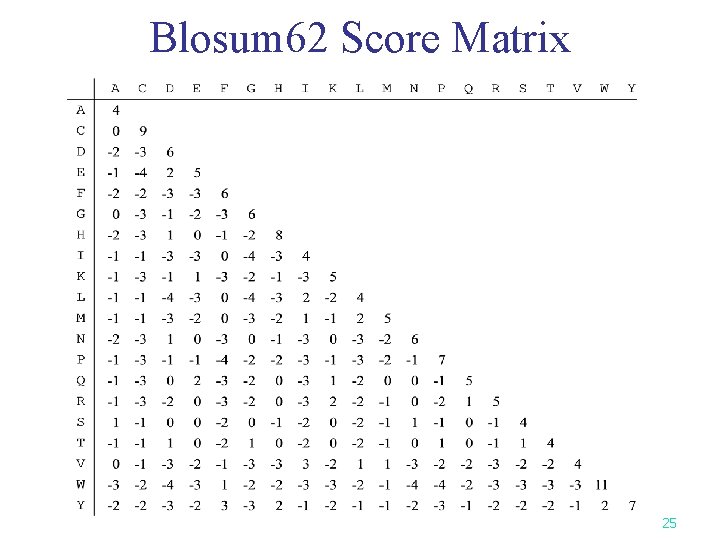Blosum 62 Score Matrix 25 
