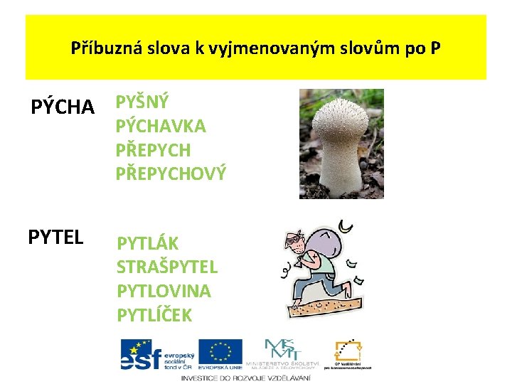 Příbuzná slova k vyjmenovaným slovům po P PÝCHA PYŠNÝ PÝCHAVKA PŘEPYCHOVÝ PYTEL PYTLÁK STRAŠPYTEL Příbuzná slova k vyjmenovaným slovům po P PÝCHA PYŠNÝ PÝCHAVKA PŘEPYCHOVÝ PYTEL PYTLÁK STRAŠPYTEL
